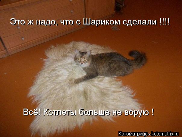 Это ж надо, что с Шариком сделали !!!! Всё! Котлеты больше не ворую !... Котоматрица: Это ж надо, что с Шариком сделали !!!! Всё! Котлеты больше не ворую !