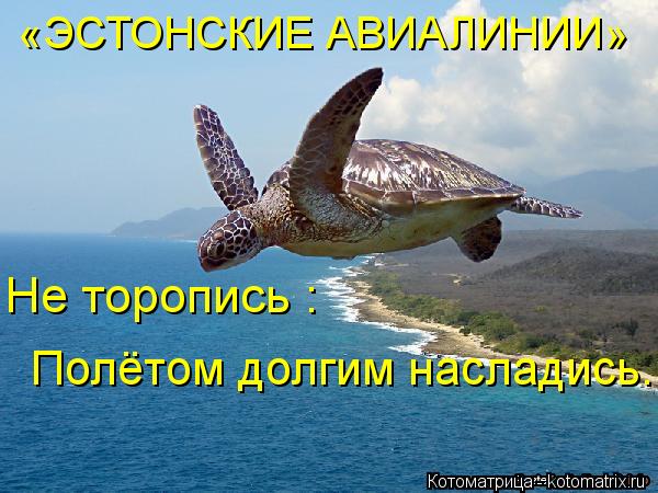 «ЭСТОНСКИЕ АВИАЛИНИИ» Не торопись : Полётом долгим насладись.... Котоматрица: «ЭСТОНСКИЕ АВИАЛИНИИ» Не торопись : Полётом долгим насладись.