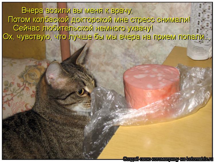 Котоматрица: Вчера возили вы меня к врачу, Потом колбаской докторской мне стресс снимали! Сейчас любительской немного ухвачу! Ох, чувствую, что лучше бы 