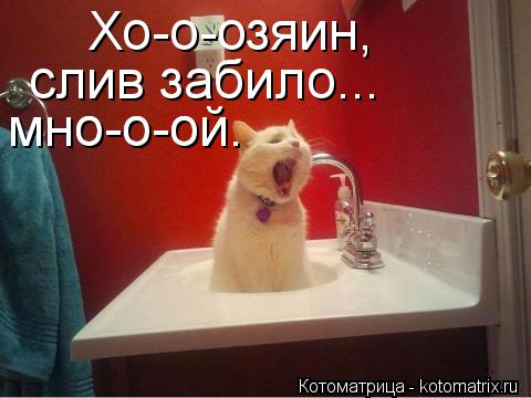 Котоматрица: Хо-о-озяин,  слив забило... мно-о-ой. мно-о-ой.