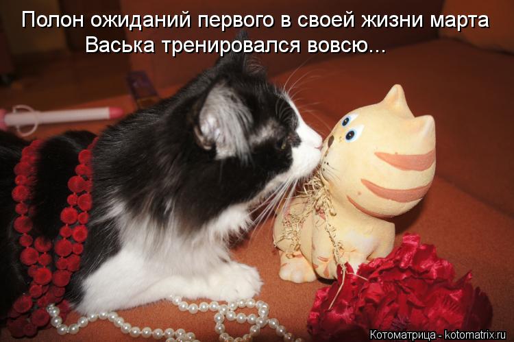 Котоматрица: Полон ожиданий первого в своей жизни марта Васька тренировался вовсю...