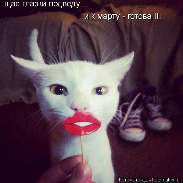 Котоматрица: щас глазки подведу....  и к марту - готова !!!
