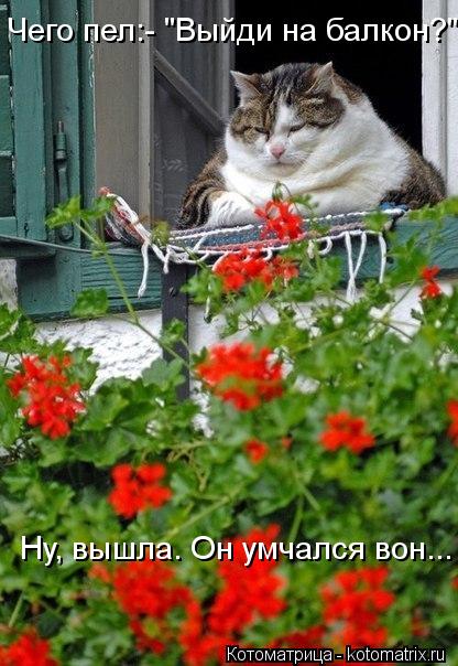Ну, вышла. Он умчался вон... Чего пел:- "Выйди на балкон?"... Котоматрица: Ну, вышла. Он умчался вон... Чего пел:- "Выйди на балкон?"