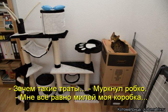 Котоматрица: - Зачем такие траты... - Муркнул робко.  - Мне всё равно милей моя коробка...
