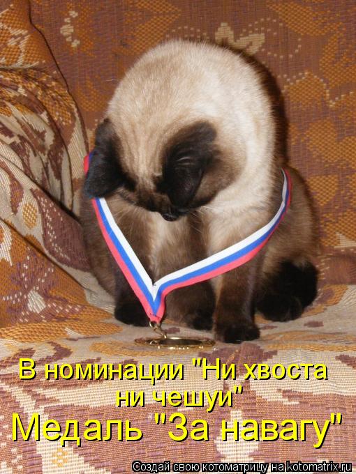 Котоматрица: Медаль "За навагу" В номинации "Ни хвоста  ни чешуи"