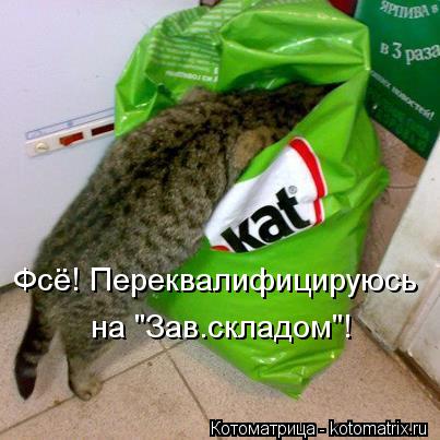 Фсё! Переквалифицируюсь на "Зав.складом"!... Котоматрица: Фсё! Переквалифицируюсь на "Зав.складом"!