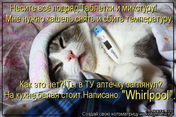 Котоматрица: Несите всё подряд!Таблетки и микстуру! Мне нужно кашель снять и сбить температуру. Как это нет?!Ты в ТУ аптечку заглянул? На кухне,белая стои