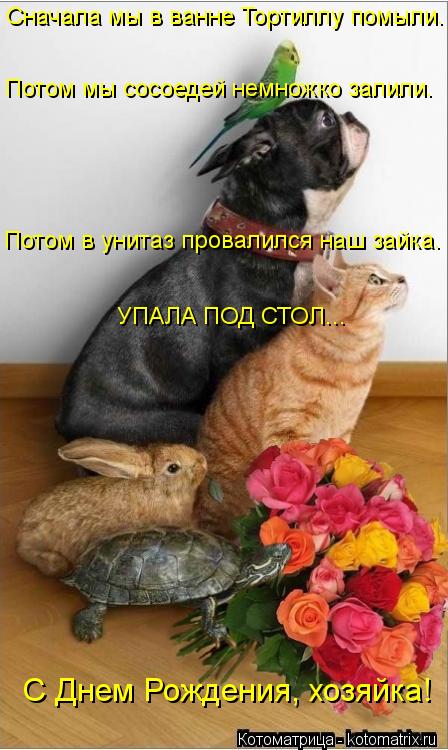 Сначала мы в ванне Тортиллу помыли. Потом мы сосоедей немножко залили. Потом в унитаз провалился наш ... Котоматрица: Сначала мы в ванне Тортиллу помыли. Потом мы сосоедей немножко залили. Потом в унитаз провалился наш зайка. УПАЛА ПОД СТОЛ... С Днем Рождения,