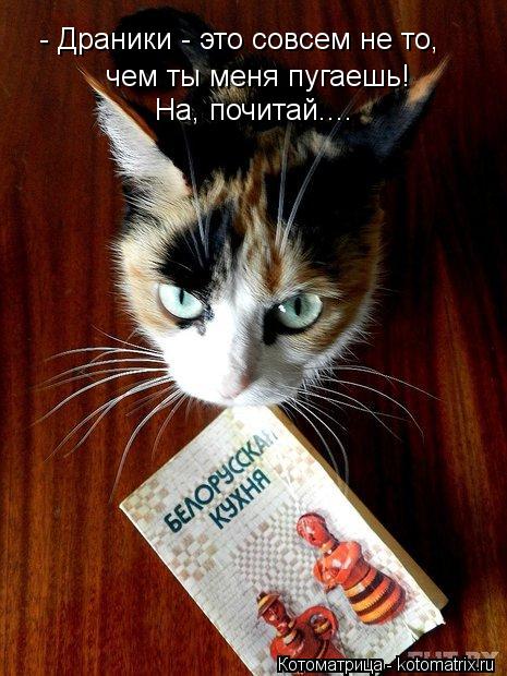 Котоматрица: - Драники - это совсем не то, чем ты меня пугаешь! На, почитай....