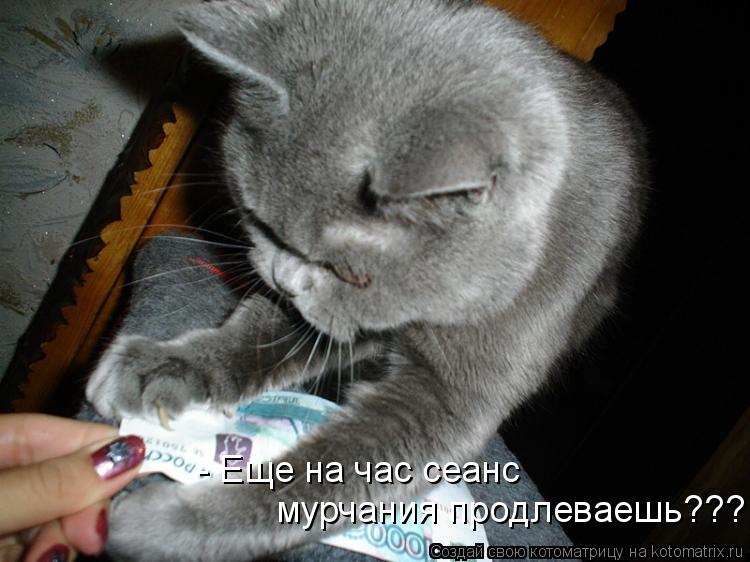 - Еще на час сеанс мурчания продлеваешь???... Котоматрица: - Еще на час сеанс мурчания продлеваешь???