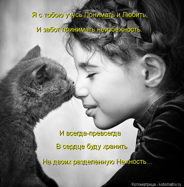 Я с тобою учусь Понимать и Любить, И забот принимать неизбежность. И всегда-превсегда В сердце буду х... Котоматрица: Я с тобою учусь Понимать и Любить, И забот принимать неизбежность. И всегда-превсегда В сердце буду хранить На двоих разделенную Нежность...