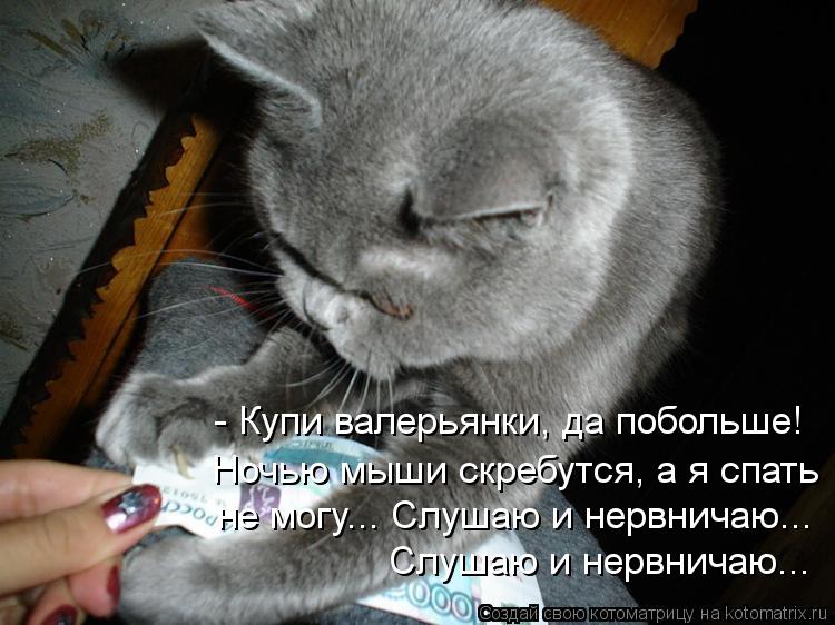 Котоматрица: - Купи валерьянки, да побольше! Ночью мыши скребутся, а я спать  не могу... Слушаю и нервничаю... Слушаю и нервничаю...