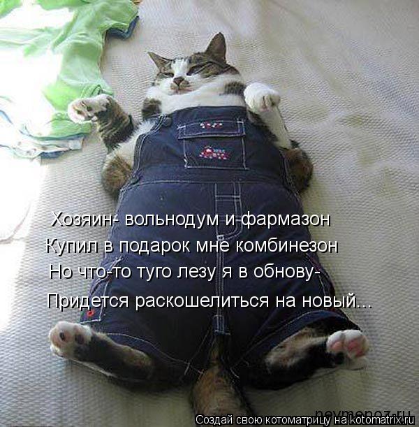 Котоматрица: Хозяин- вольнодум и фармазон Купил в подарок мне комбинезон Но что-то туго лезу я в обнову- Придется раскошелиться на новый...