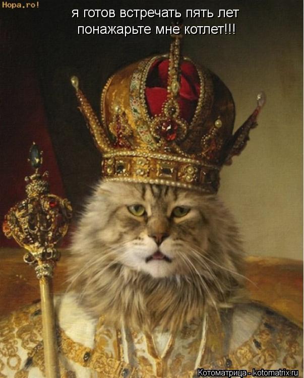 я готов встречать пять лет понажарьте мне котлет!!!... Котоматрица: я готов встречать пять лет понажарьте мне котлет!!!