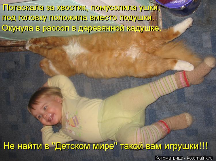 Котоматрица: Потаскала за хвостик, помусолила ушки, под головку положила вместо подушки. Окунула в рассол в деревянной кадушке. Не найти в "Детском мире" 