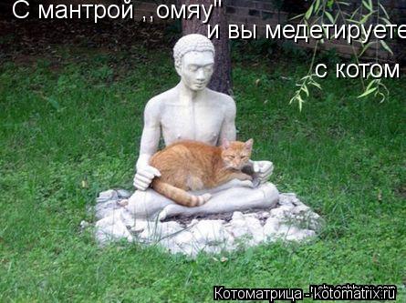 Котоматрица: С мантрой ,,омяу"  и вы медетируете с котом
