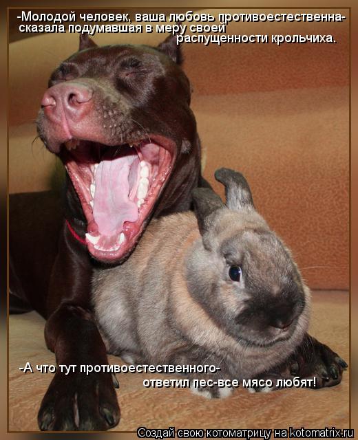Котоматрица: -Молодой человек, ваша любовь противоестественна- сказала подумавшая в меру своей  распущенности крольчиха. -А что тут противоестественног