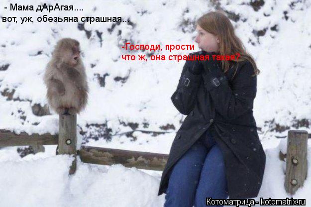 Котоматрица: - Мама дАрАгая.... вот, уж, обезьяна страшная... что ж, она страшная такая? -Господи, прости