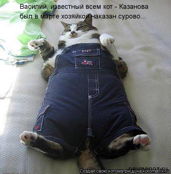 Василий, известный всем кот - Казанова был в марте хозяйкой наказан сурово...... Котоматрица: Василий, известный всем кот - Казанова был в марте хозяйкой наказан сурово...