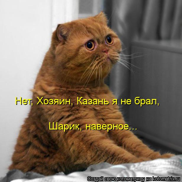 Нет, Хозяин, Казань я не брал, Шарик, наверное...... Котоматрица: Нет, Хозяин, Казань я не брал, Шарик, наверное...