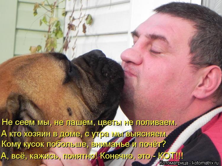 Котоматрица: Не сеем мы, не пашем, цветы не поливаем. А кто хозяин в доме, с утра мы выясняем. Кому кусок побольше, вниманье и почёт? А, всё, кажись, понятно! 