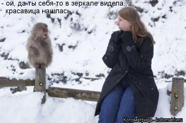 Котоматрица: - ой, да ты себя-то в зеркале видела.... красавица нашлась...