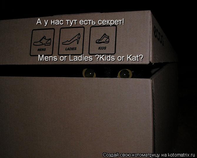 Котоматрица: Mens or Ladies ?Kids or Kat? А у нас тут есть секрет!