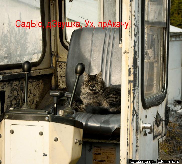 Котоматрица: СадЫс, дЭвушка, Ух, прАкачу!
