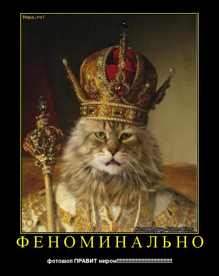 Котоматрица: ФЕНОМИНАЛЬНО  фотошоп ПРАВИТ миром!!!!!!!!!!!!!!!!!!!!!!!!!!!!!!!!!!!!!!