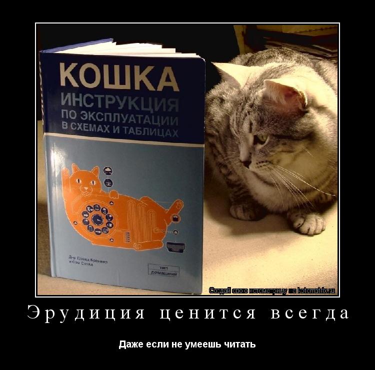 Котоматрица: Эрудиция ценится всегда Даже если не умеешь читать