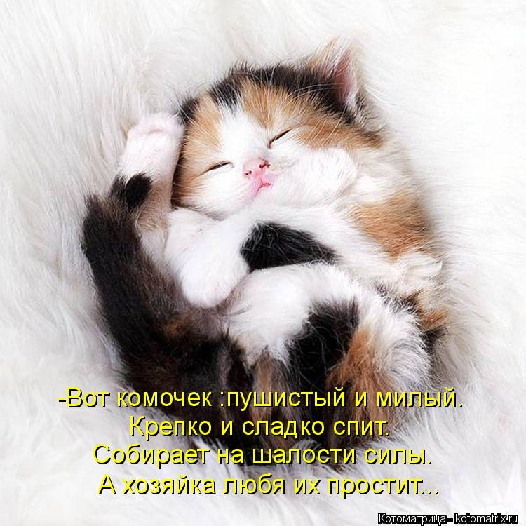 Котоматрица: -Вот комочек :пушистый и милый. Крепко и сладко спит. Собирает на шалости силы. А хозяйка любя их простит...