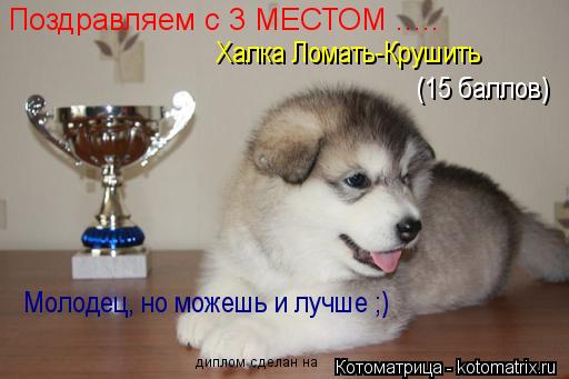 Котоматрица: Поздравляем с 3 МЕСТОМ ..... Халка Ломать-Крушить (15 баллов) Молодец, но можешь и лучше ;) диплом сделан на