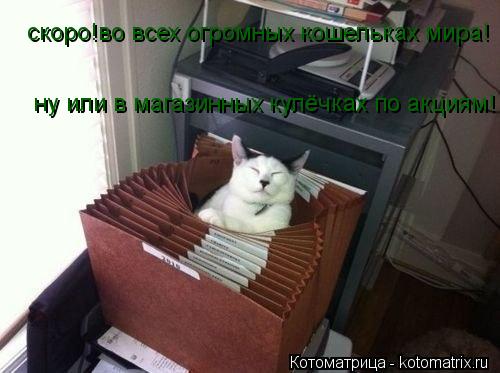 Котоматрица: скоро!во всех огромных кошельках мира! ну или в магазинных кулёчках по акциям!