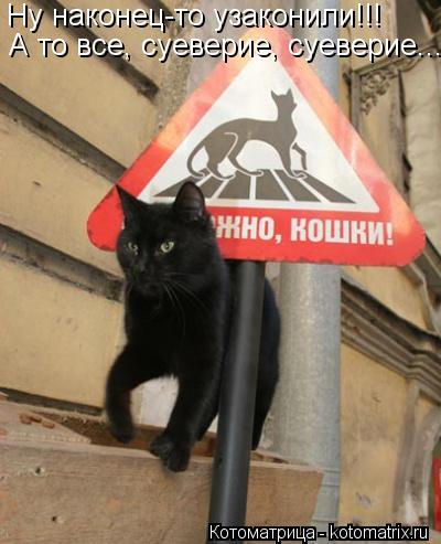 Ну наконец-то узаконили!!! А то все, суеверие, суеверие...... Котоматрица: Ну наконец-то узаконили!!! А то все, суеверие, суеверие...