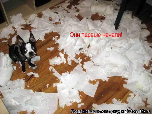 Они первые начали!... Котоматрица: Они первые начали!