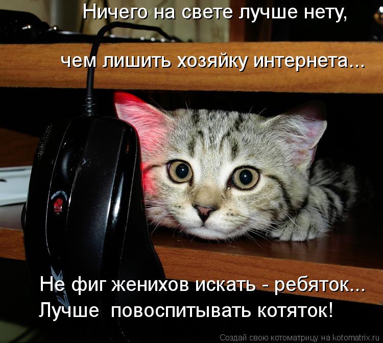 Котоматрица: Ничего на свете лучше нету,  чем лишить хозяйку интернета... Не фиг женихов искать - ребяток... Лучше  повоспитывать котяток!