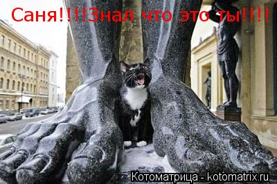 Саня!!!!Знал что это ты!!!!... Котоматрица: Саня!!!!Знал что это ты!!!!