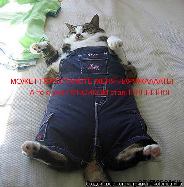 Котоматрица: МОЖЕТ ПЕРЕСТАНЕТЕ МЕНЯ НАРЯЖААААТЬ! А то я уже ПУПСИКОМ стал!!!!!!!!!!!!!!!!!!