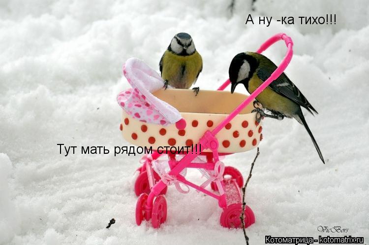 А ну -ка тихо!!! Тут мать рядом стоит!!!... Котоматрица: А ну -ка тихо!!! Тут мать рядом стоит!!!