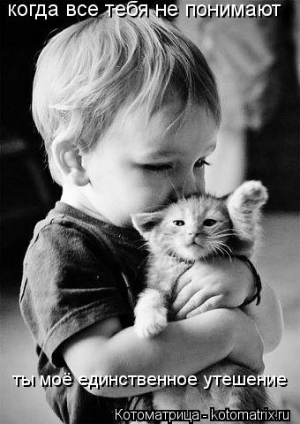 Котоматрица: когда все тебя не понимают ты моё единственное утешение