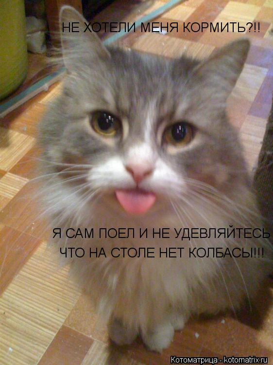 Котоматрица: НЕ ХОТЕЛИ МЕНЯ КОРМИТЬ?!! НЕ ХОТЕЛИ МЕНЯ КОРМИТЬ?!! Я САМ ПОЕЛ И НЕ УДЕВЛЯЙТЕСЬ ЧТО НА СТОЛЕ НЕТ КОЛБАСЫ!!!  ЧТО НА СТОЛЕ НЕТ КОЛБАСЫ!!!