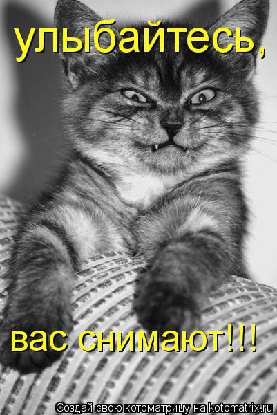 улыбайтесь, вас снимают!!!... Котоматрица: улыбайтесь, вас снимают!!!