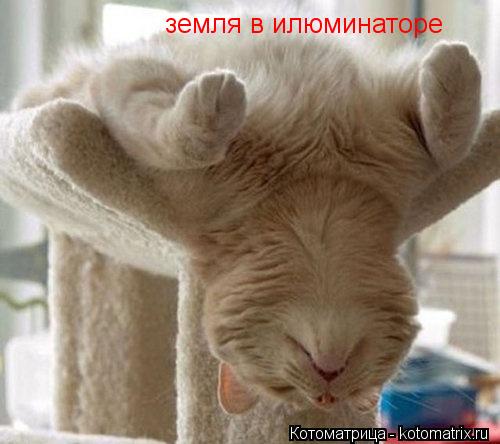 Котоматрица: земля в илюминаторе