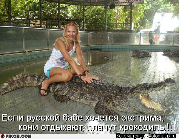 Котоматрица: Если русской бабе хочется экстрима, кони отдыхают, плачут крокодилы!!!