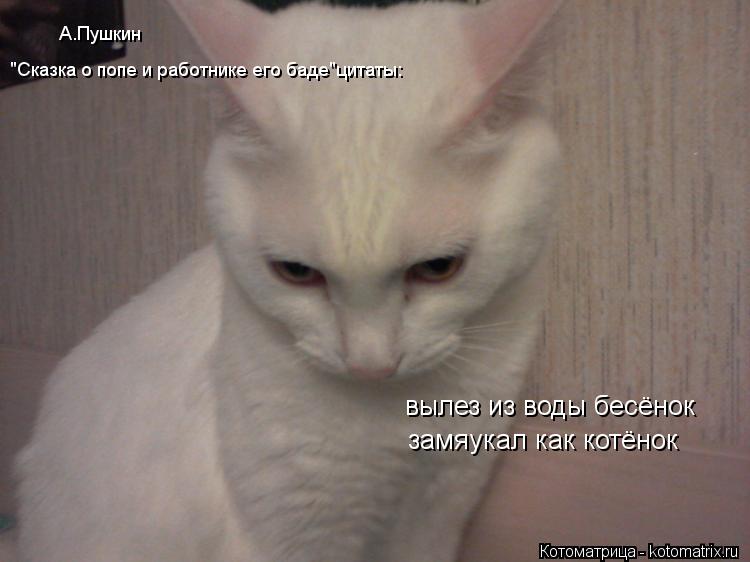 Котоматрица: А.Пушкин "Сказка о попе и работнике его баде"цитаты: вылез из воды бесёнок замяукал как котёнок