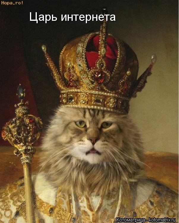 Котоматрица: Царь интернета