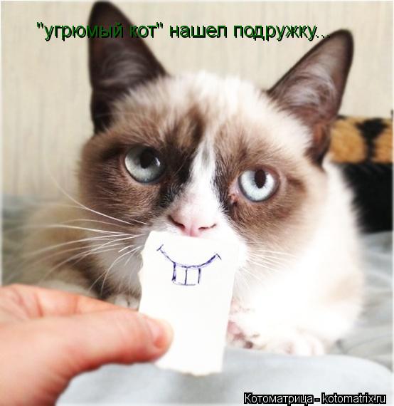 Котоматрица: "угрюмый кот" нашел подружку...