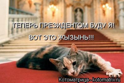 Котоматрица: ТЕПЕРЬ ПРЕЗИДЕНТОМ БУДУ Я! ВОТ ЭТО ЖЫЗЫНЬ!!!