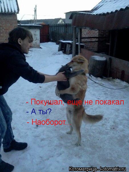 Котоматрица: - Покушал, еще не покакал - А ты? - Наоборот...