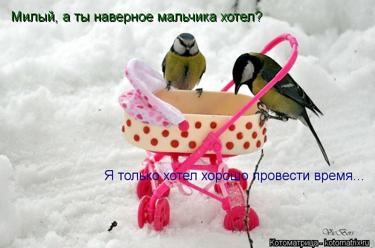 Котоматрица: Милый, а ты наверное мальчика хотел? Я только хотел хорошо провести время...
